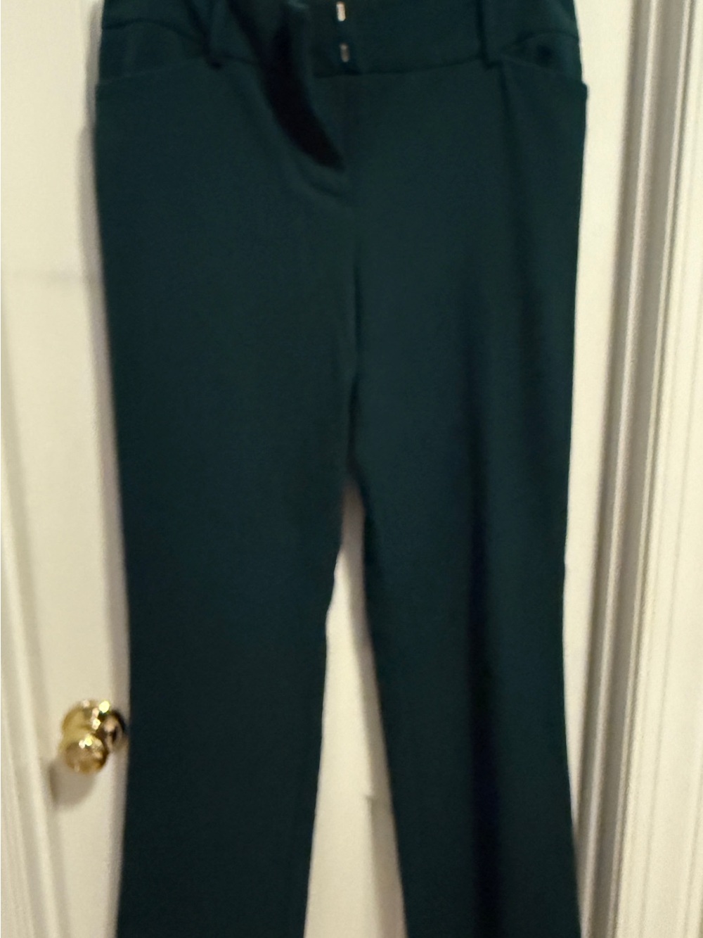 New York&Co Green Dress Pants